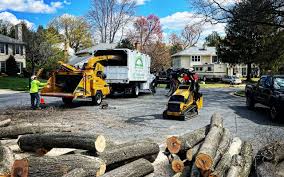 Best Lawn Dethatching  in Russell, GA